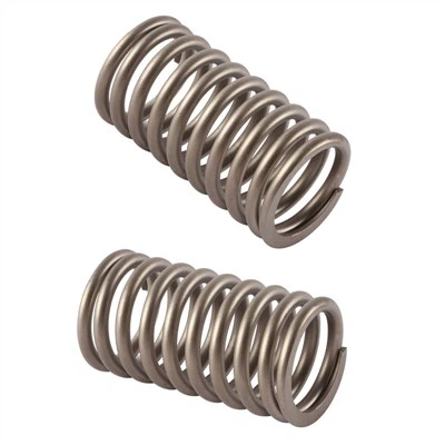 Lò xo chống ăn mòn